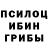 Псилоцибиновые грибы мицелий MAKS SLOW